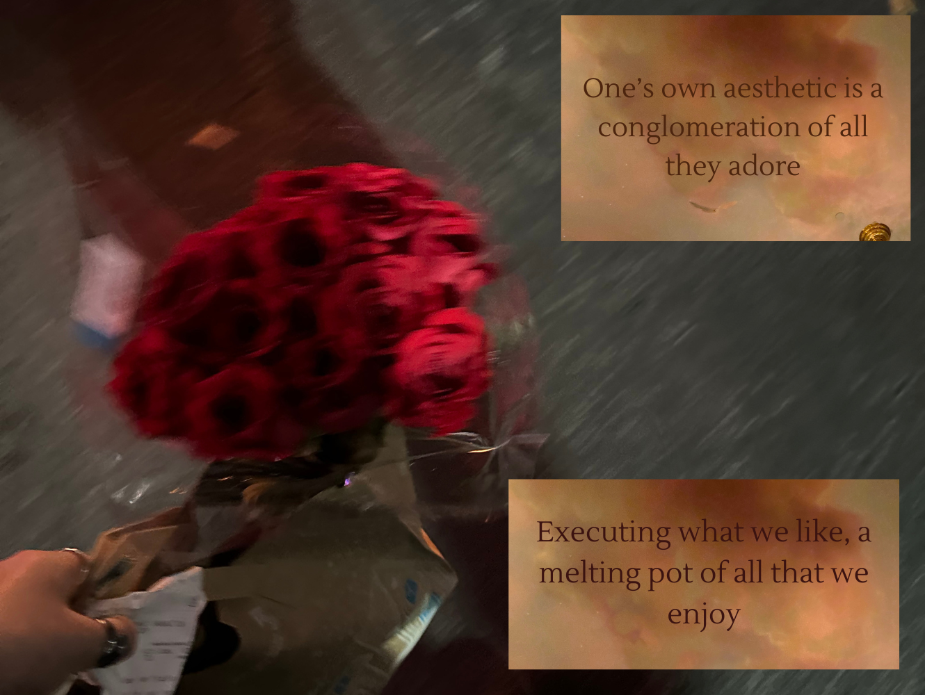 picture of roses with quotes from the text, clean girl