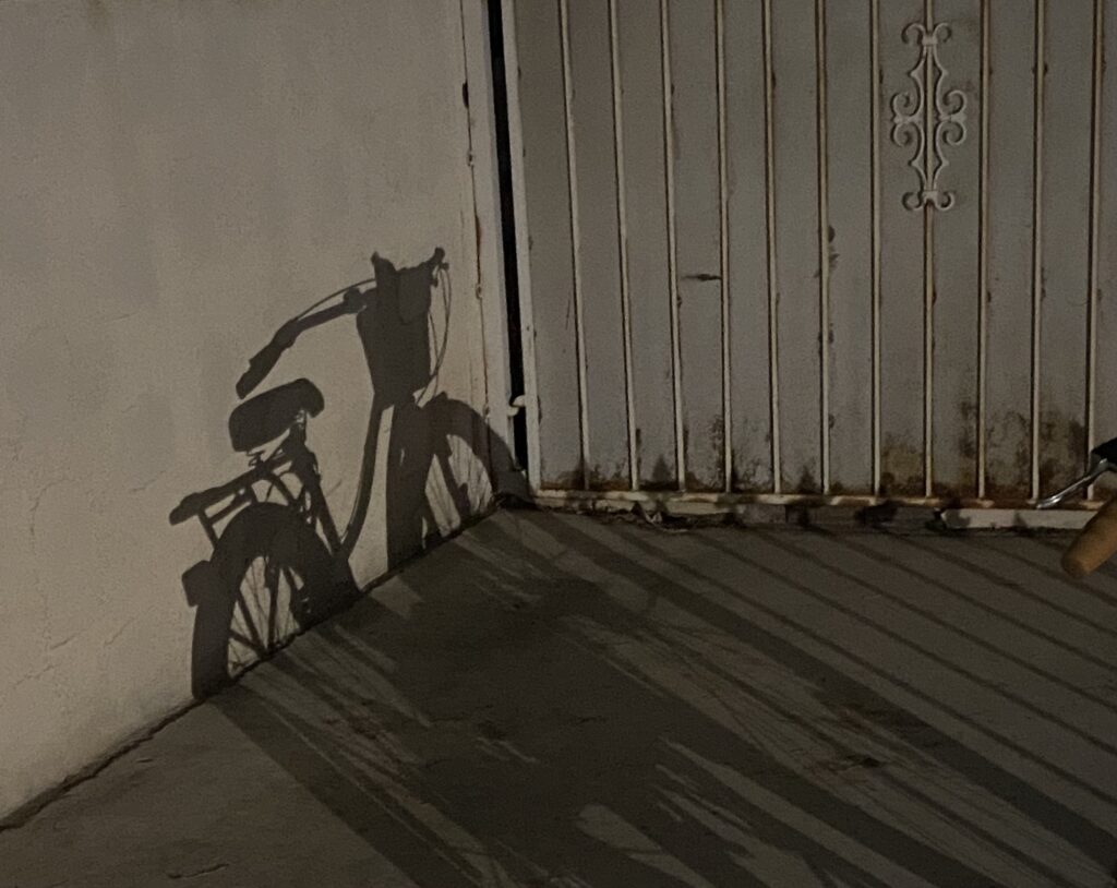 shadow of a bike against a concrete fence and white gate, finding yourself