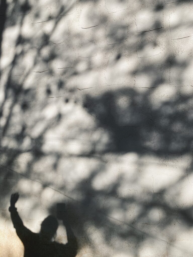 shadow of branches, and a person, finding yourself