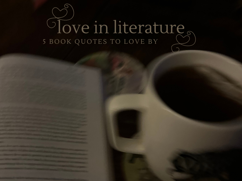 love in literature | 5 book quotes to love by