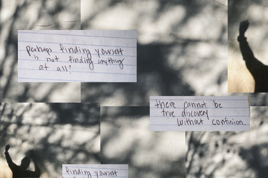 a collage of shadows of branches and a girl, finding yourself