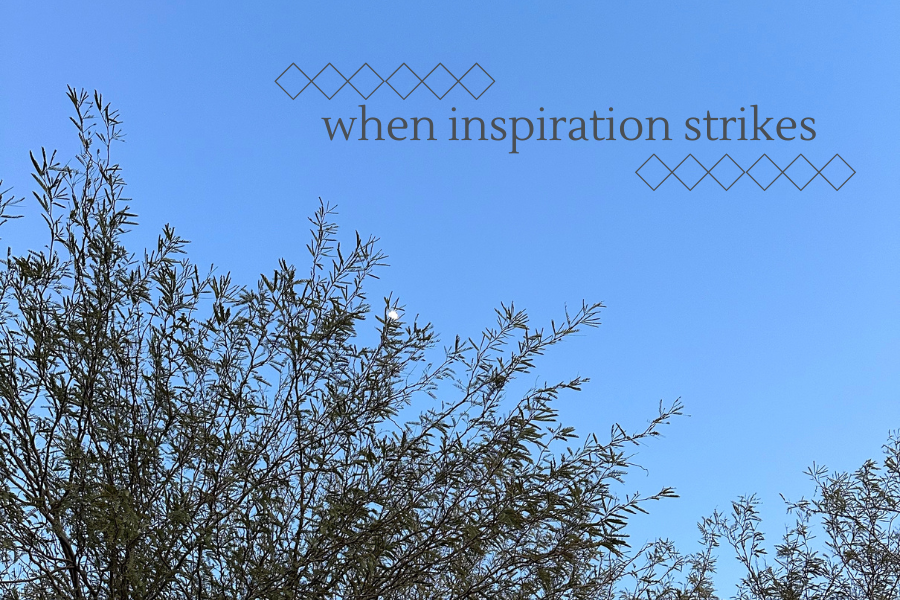 tree branches with the moon and sky, inspiration