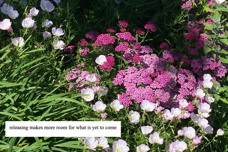 flowers in a bush with excerpt on top