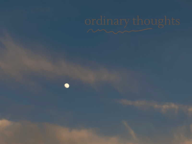 picture of blue and orange sky and an almsot full moon, ordinary thoughts