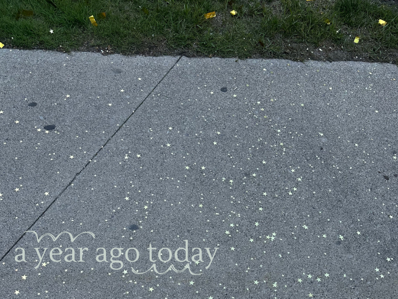 confetti on grass and concrete with title