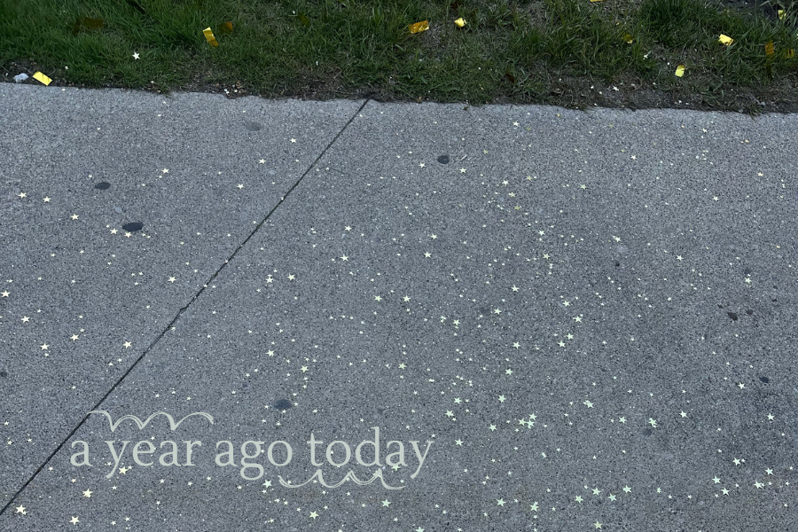 confetti on grass and concrete with title 