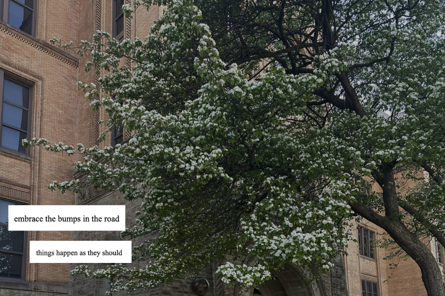 picture of a blooming spring tree in front of a building with overlapped text from the passage layered on top