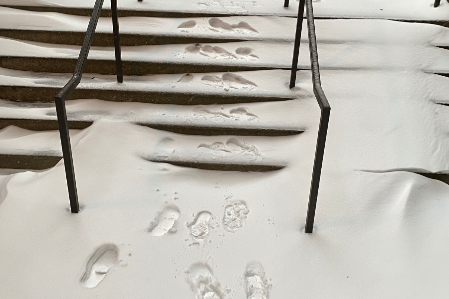 footprints on snowy steps