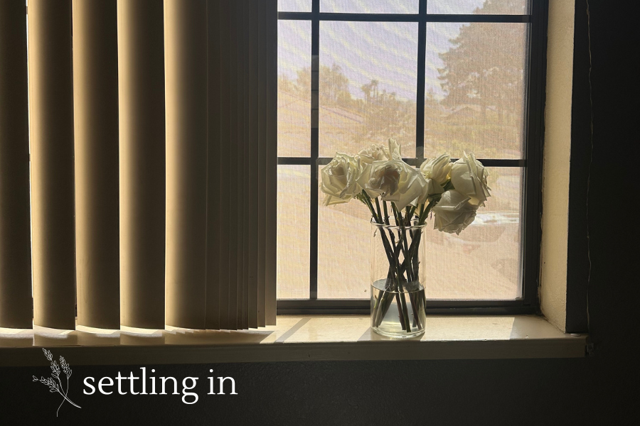 white roses in a vase on a window sill, settling in